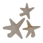 Seestern, 10, 15, 18cm im 3-er Set