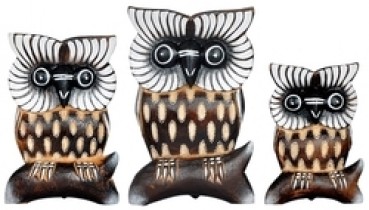 Eule Schu 1, 8, 10, 12cm, im 3-er Set