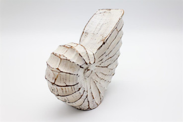 Muschel white wash, 15 cm