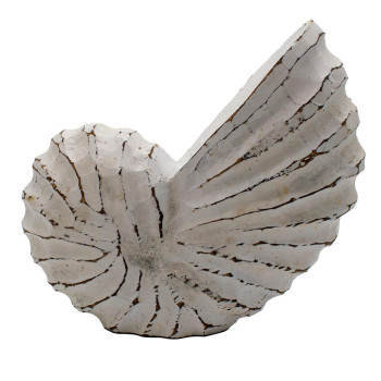 Muschel white wash, 20 cm
