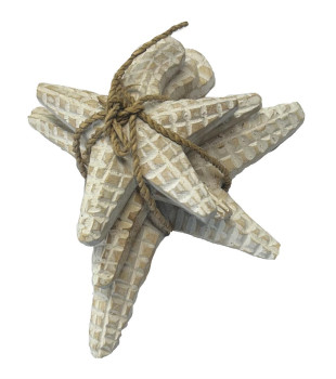 Seestern, 10, 15, 18cm im 3-er Set