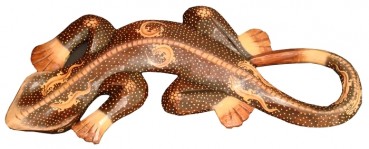 Gecko Manis 50cm