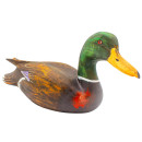 Ente, m�nnlich, 30 cm